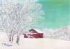 Rural Snow 9