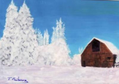 Rural Snow 8